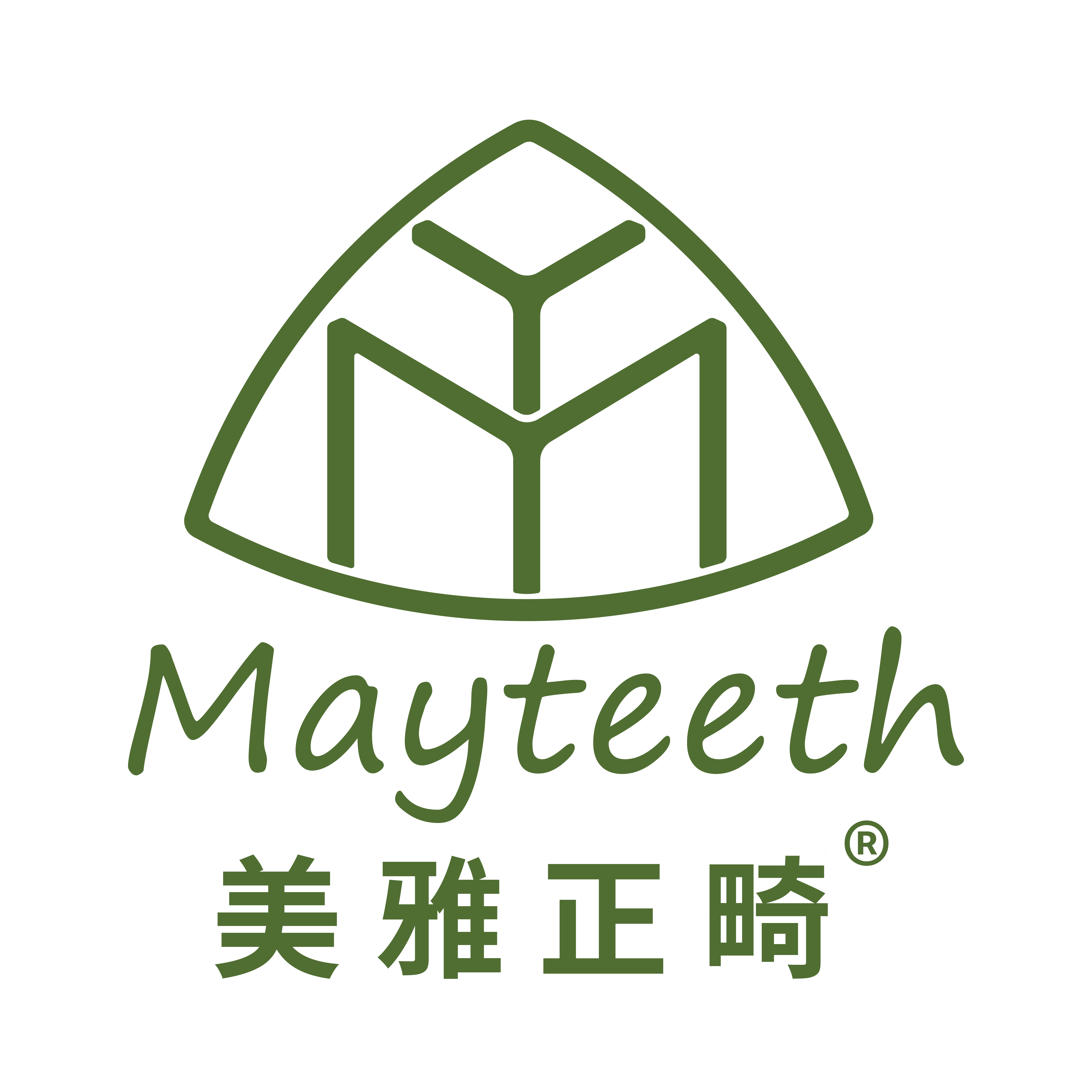 美雅科技集团（吉林）股份有限公司